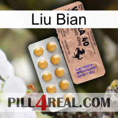 Liu Bian 41